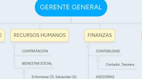 Mind Map: GERENTE GENERAL