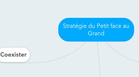 Mind Map: Stratégie du Petit face au Grand