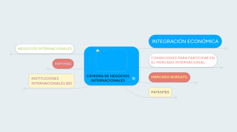 Mind Map: CÁTEDRA DE NEGOCIOS INTERNACIONALES