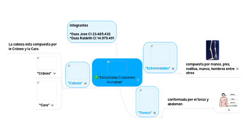 Mind Map: "Estructuras Corporales Humanas"