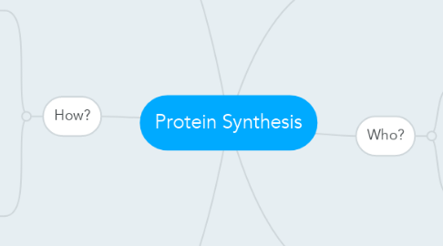 Mind Map: Protein Synthesis