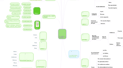 Mind Map: EL CUERPO HUMANO