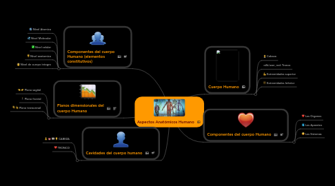 Mind Map: Aspectos Anatómicos Humano