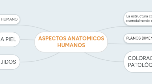 Mind Map: ASPECTOS ANATOMICOS HUMANOS