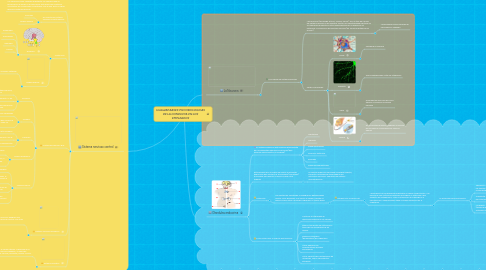 Mind Map: Unidad#2 BASES PSICOBIOLOGICAS DE LA CONDUCTA EN LOS EMPLEADOS