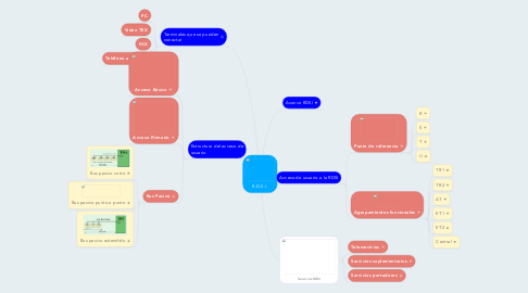 Mind Map: R.D.S.I.