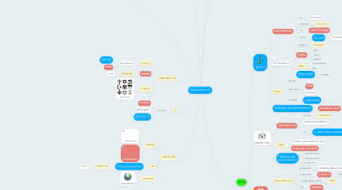 Mind Map: RENACIMIENTO