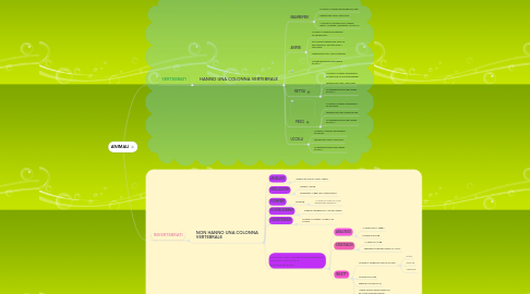 Mind Map: ANIMALI