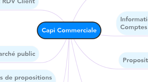 Mind Map: Capi Commerciale