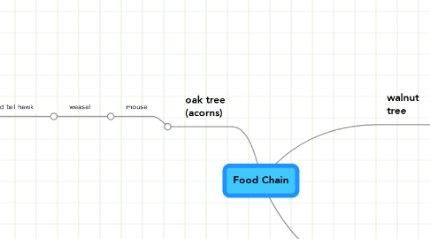 Mind Map: Food Chain