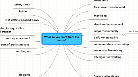 Mind Map: What do you want from this course?
