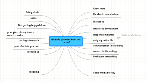 Mind Map: What do you want from this course?