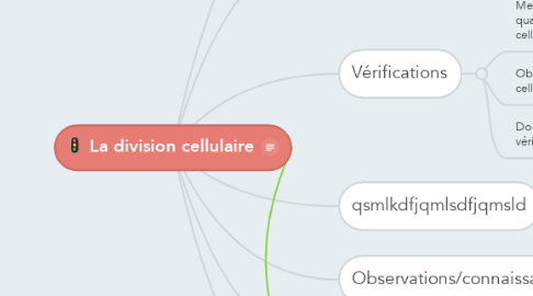 Mind Map: La division cellulaire