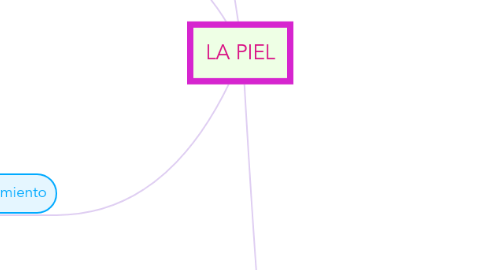 Mind Map: LA PIEL