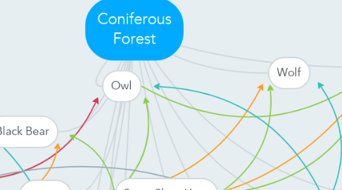 Mind Map: Coniferous Forest