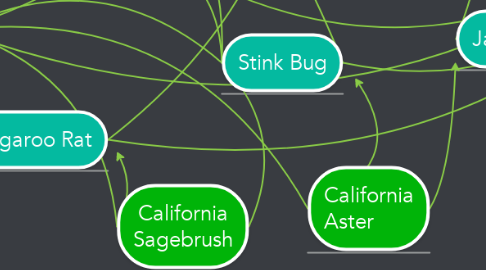 Mind Map: California Sagebrush