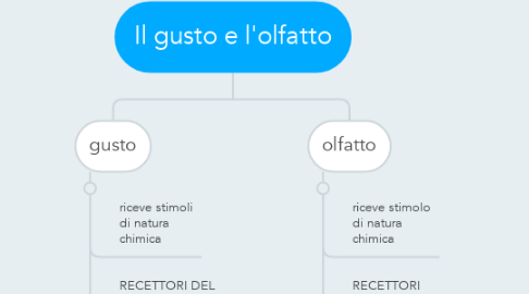 Mind Map: Il gusto e l'olfatto