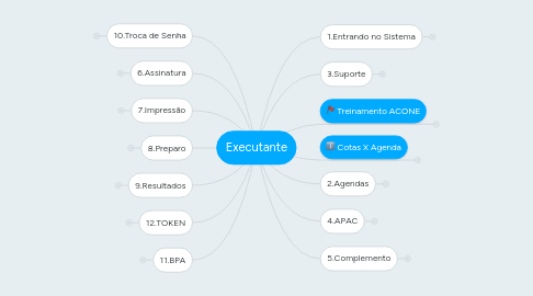 Mind Map: Executante