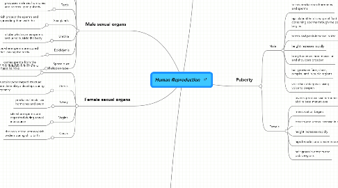 Mind Map: Human Reproduction