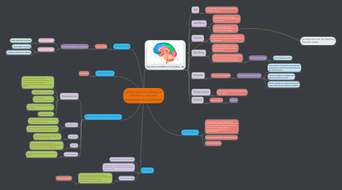 Mind Map: ¿Cómo esta constituido el Cerebro y ciencias encargadas de su Estudio?