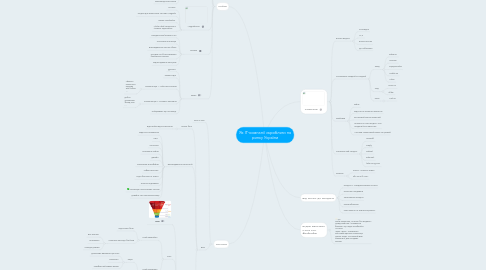 Mind Map: Як ІТ-компанії заробляти на ринку України