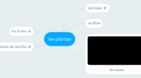 Mind Map: las plantas