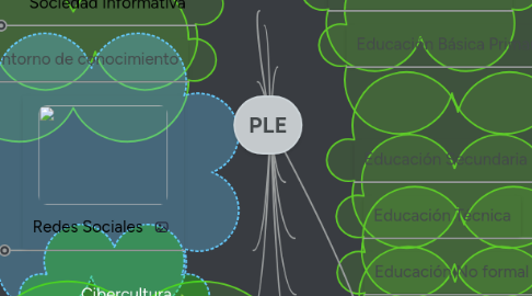 Mind Map: PLE