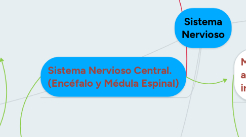 Mind Map: Sistema Nervioso