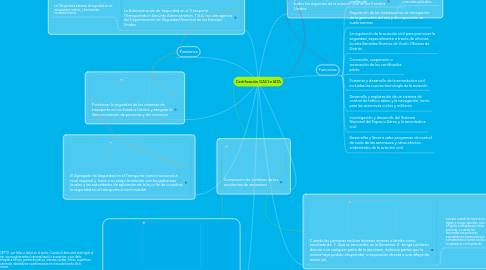 Mind Map: Certificación OACI e IATA