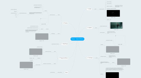 Mind Map: Masisa - Visita à Fábrica