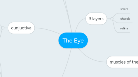 3 layers of the eye
