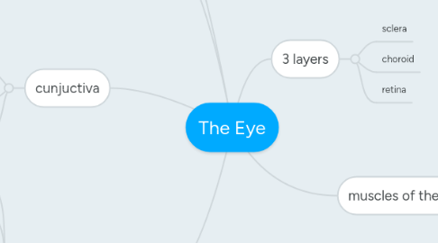 Mind Map: The Eye