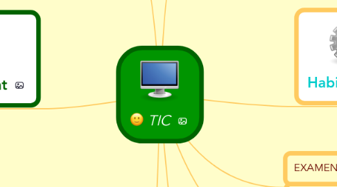 Mind Map: TIC