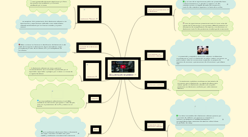 Mind Map: DECLARACIÓN ADUANERA