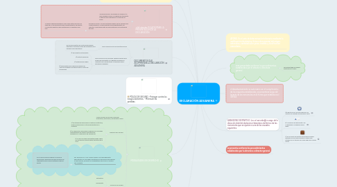 Mind Map: DECLARACIÓN ADUANERA