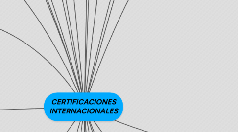 Mind Map: CERTIFICACIONES INTERNACIONALES