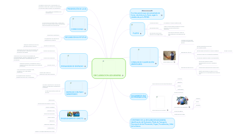 Mind Map: DECLARACION ADUANERA