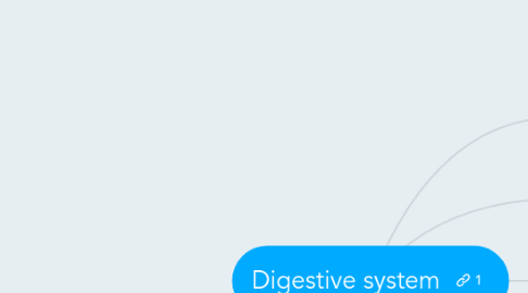 Mind Map: Digestive system