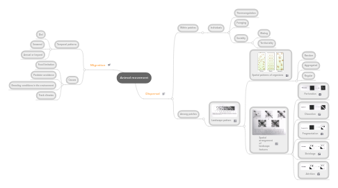 Animal movement | MindMeister Mind Map Animal movement | MindMeister Mind Map