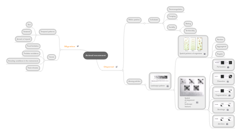 Mind Map: Animal movement