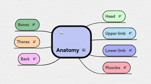 Mind Map: Anatomy