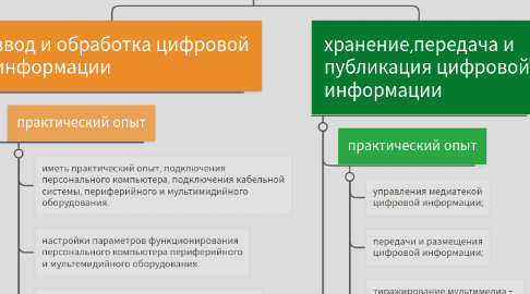 Mind Map: значения, умения и практический опыт по профессиональным модулям профессии МОЦИ