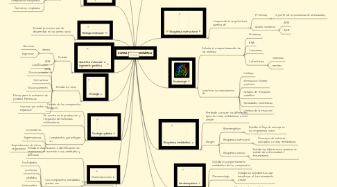 Mind Map: RAMAS DE LA BIOQUÍMICA