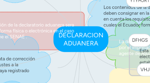 Mind Map: DECLARACION ADUANERA