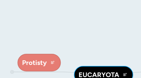 Mind Map: EUCARYOTA