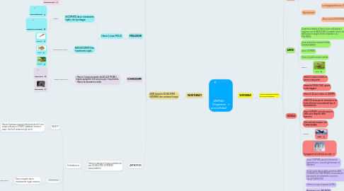 Mind Map: ANIMALI (Organismi pluricellulari)