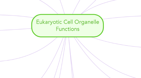 Mind Map: Eukaryotic Cell Organelle Functions