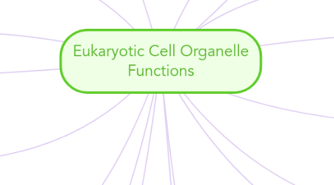 Mind Map: Eukaryotic Cell Organelle Functions