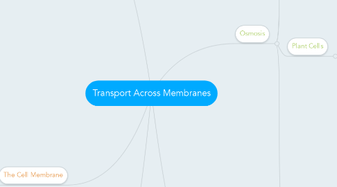 Mind Map: Transport Across Membranes