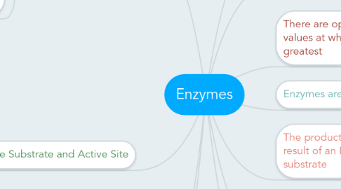 Mind Map: Enzymes